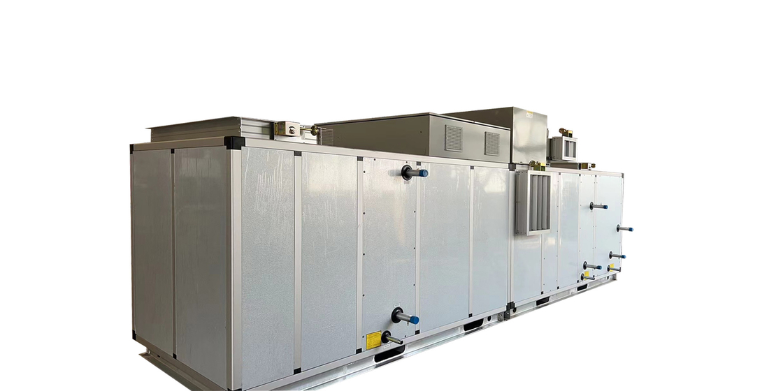 Déshumidificateur de rotor à déshumidificateur personnalisé de 12000m3/h pour le séchage de capsules à gel doux